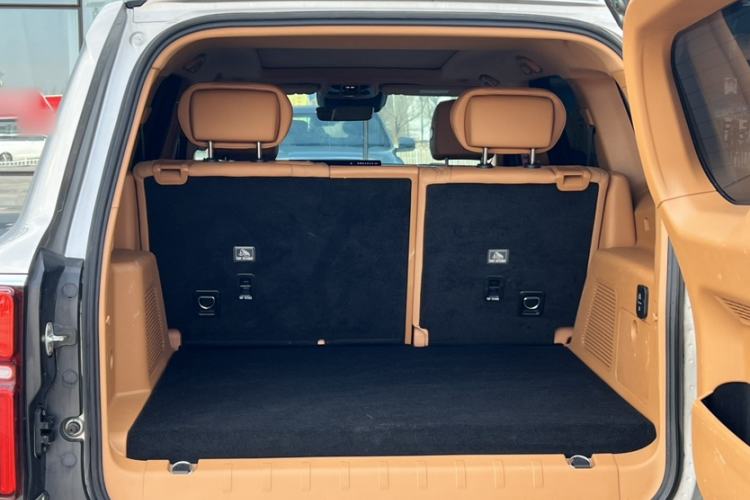 Used Tank 500 New Energy 2024 Hi4-T
