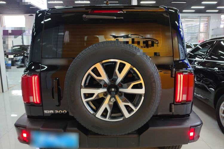 Used Tank 300 2024 2.0T Crosser
