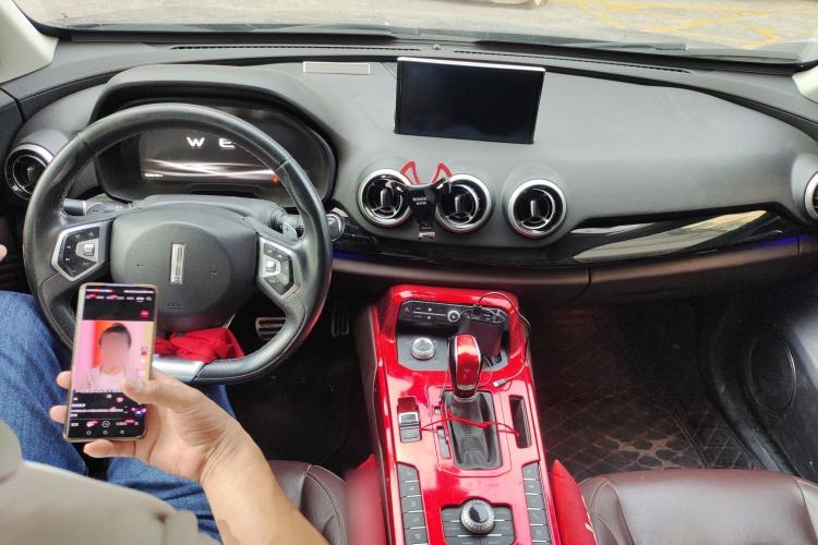 Used Wey P8 2018 2.0T Flagship Model
