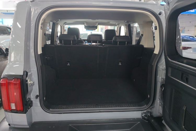 Used Tank 300 2021 City Edition 2.0T—Truly Stylish