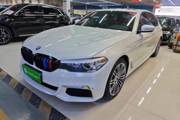 Used BMW 5 Series 2019 530Li Leading Model M Sport Package