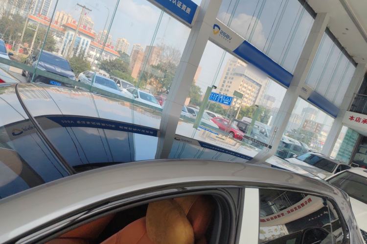 Used  S05 2024 510 Plus Pure Electric Version
