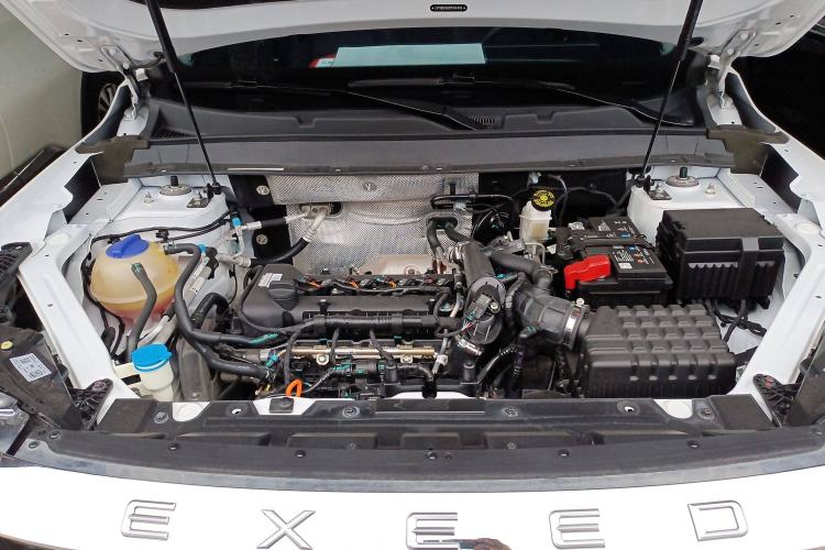 Used  Zhuifeng 2022 Chasing the Waves Edition 1.5T CVT Good Things Peanut Edition