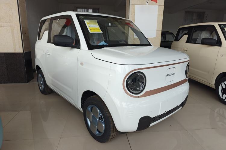 Used  Panda 2024 Panda Mini 200km Endurance Bear