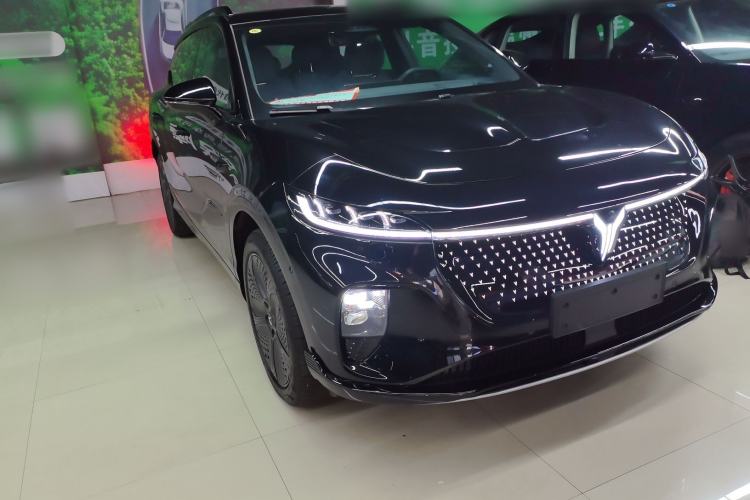 Used VOYAH COURAGE 2024 Four-Wheel Drive Global Edition
