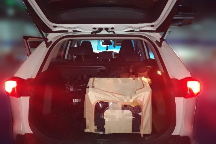 Used Toyota RAV4 2021 2.0L CVT Two-Wheel Drive Fashion PLUS Edition
