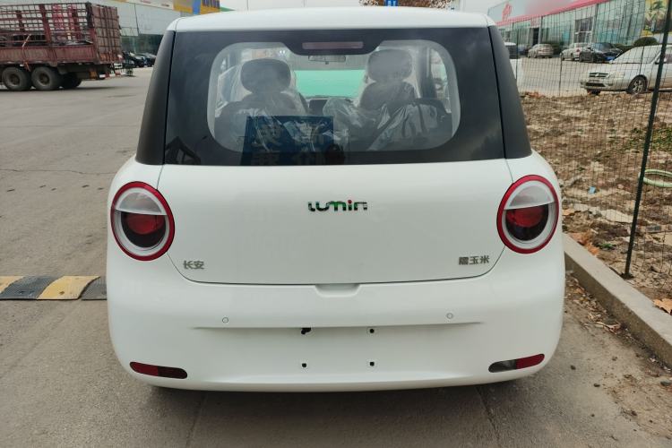 Used  Lumin 2025 205 km Xiangqin Version