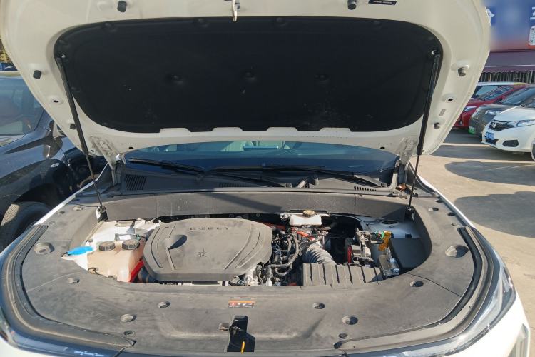 Used  L7 2023 1.5T 115 km Starship