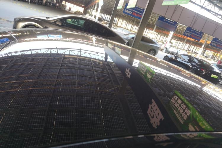 Used Tesla Model Y 2022 Rear-Wheel-Drive Version