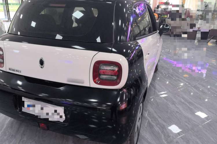 Used ORA Black Cat 2019 310km Fun Edition
