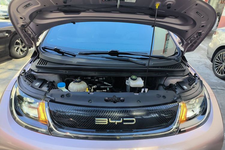 Used BYD Dolphin 2021 405 km Fashion Edition
