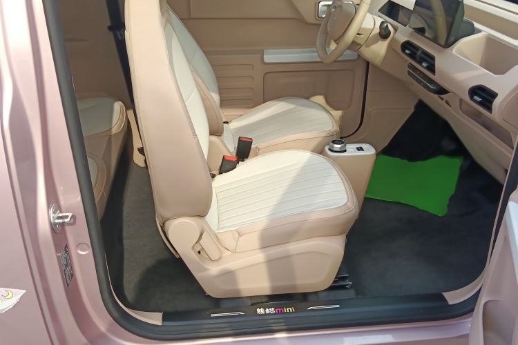 Used  Panda 2023 Panda Mini 200km Endurance Bear
