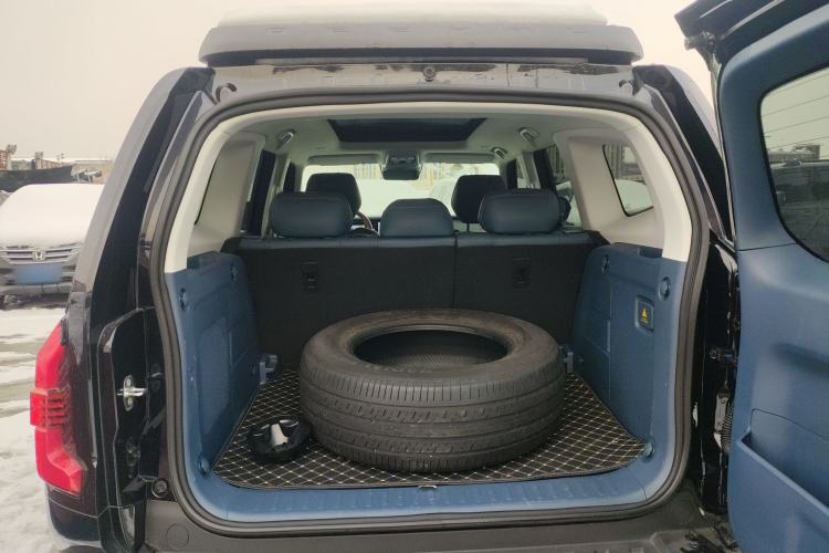 Used  G318 2024 Two-Wheel Drive Air Suspension Version