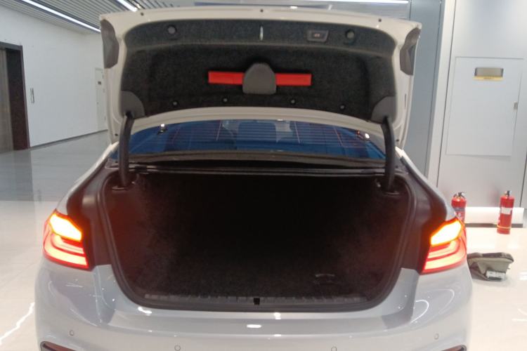 Used BMW 5 Series 2020 530Li Leading Model M Sport Package