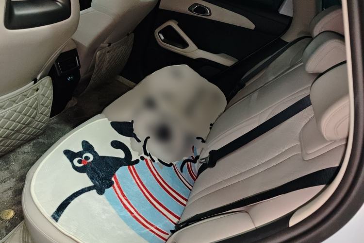 Used BYD Yuan UP 2025 Intelligent Driving Version 401 KM Dynamic Edition