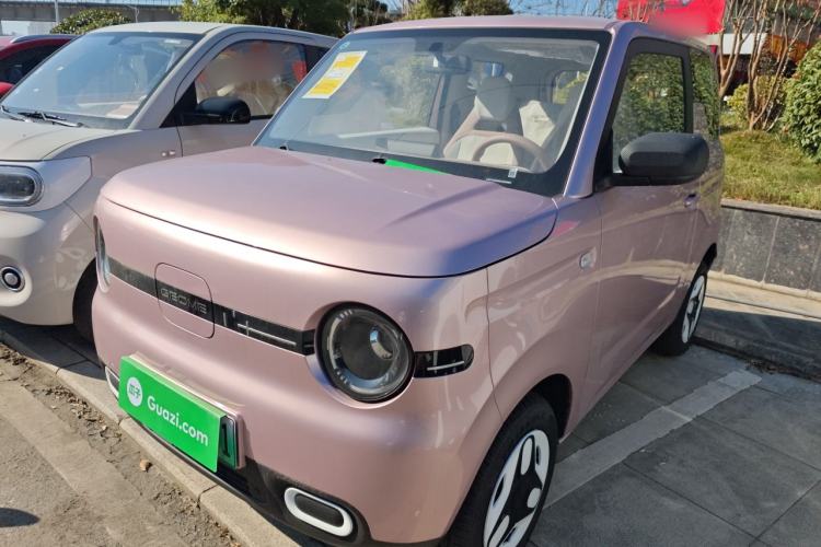 Used  Panda 2025 210 km – Yuanqi Bear
