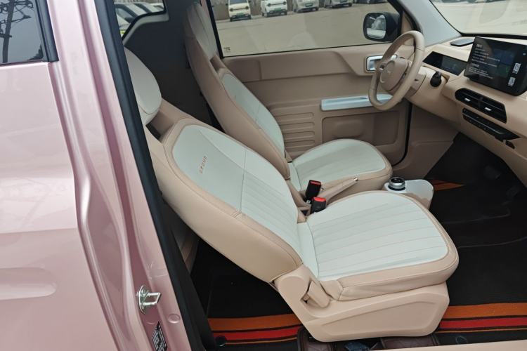 Used  Panda 2024 Panda Mini 200km Endurance Bear