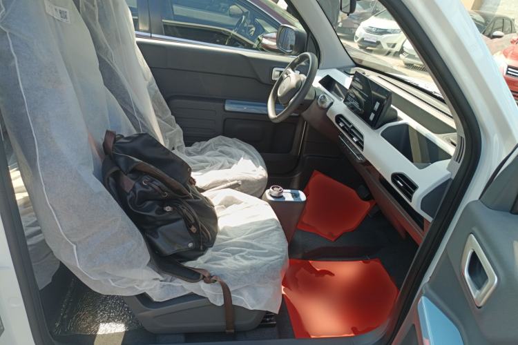 Used  Panda 2024 Panda Mini 200km Endurance Bear
