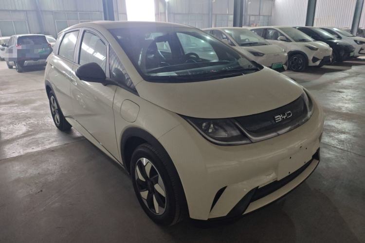 Used BYD Dolphin 2025 420km Free Edition
