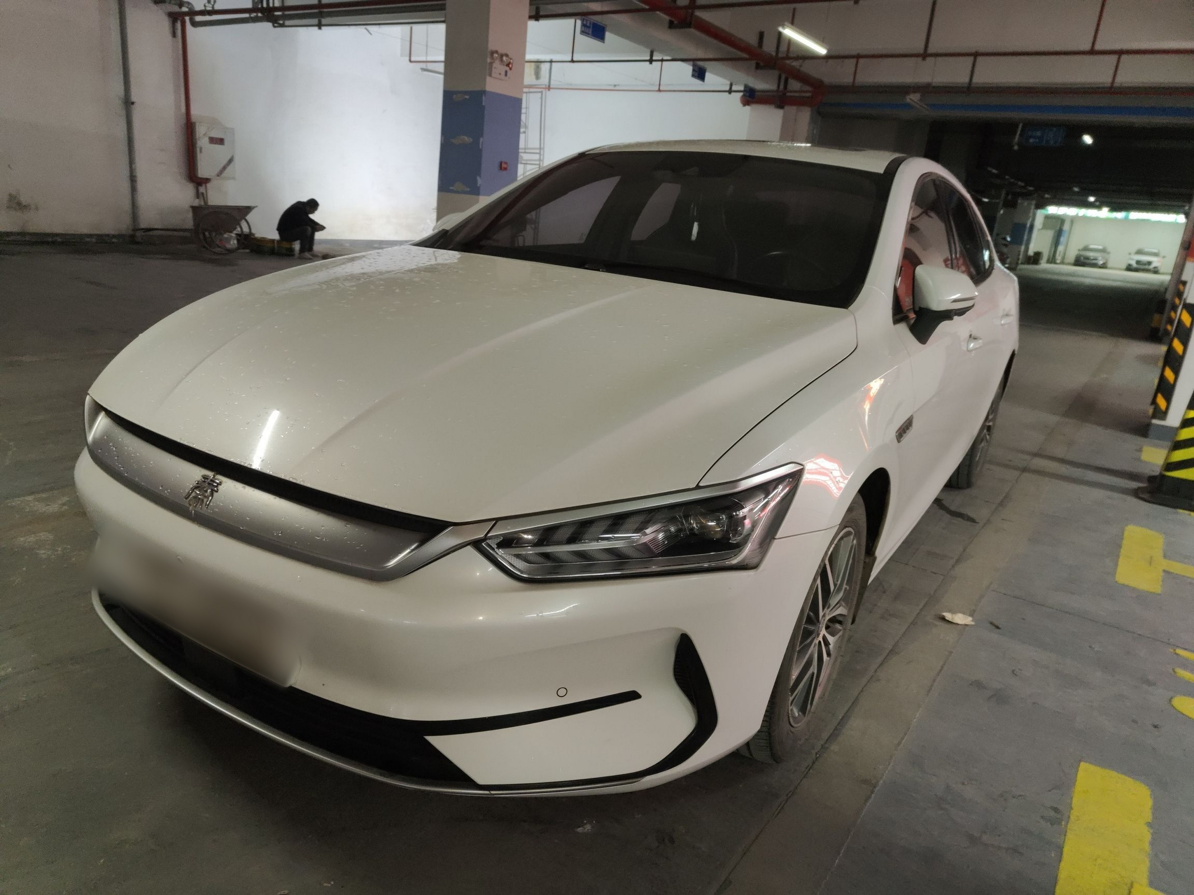 تحت مقدمة السيارة