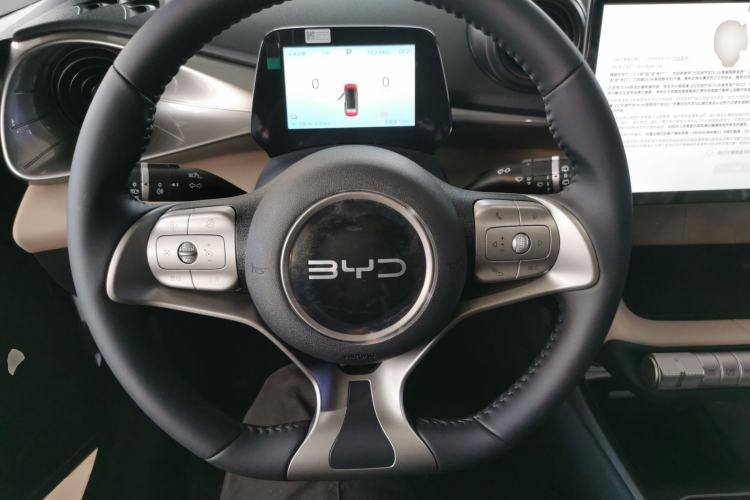 Used BYD Dolphin 2025 420km Free Edition
