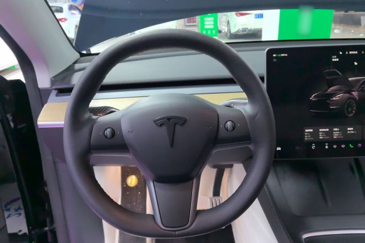 Used Tesla Model Y 2022 Revised Version Long-Range All-Wheel Drive
