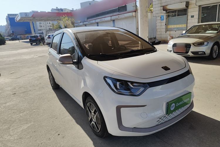 Used SOL E10X 2022 Flower Fairy Design Four-Leaf Clover
