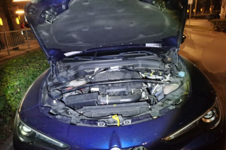 Used Alfa Romeo Stelvio 2017 2.0T 200HP Elite Edition
