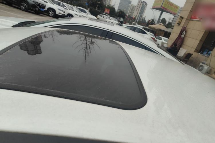 Used Ford Focus 2015 Sedan 1.6L Automatic Trend Model