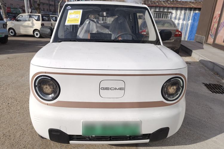 Used  Panda 2024 Panda Mini 200km Endurance Bear