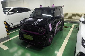 Used Geely Galaxy Panda 2025 210km Panda Kart