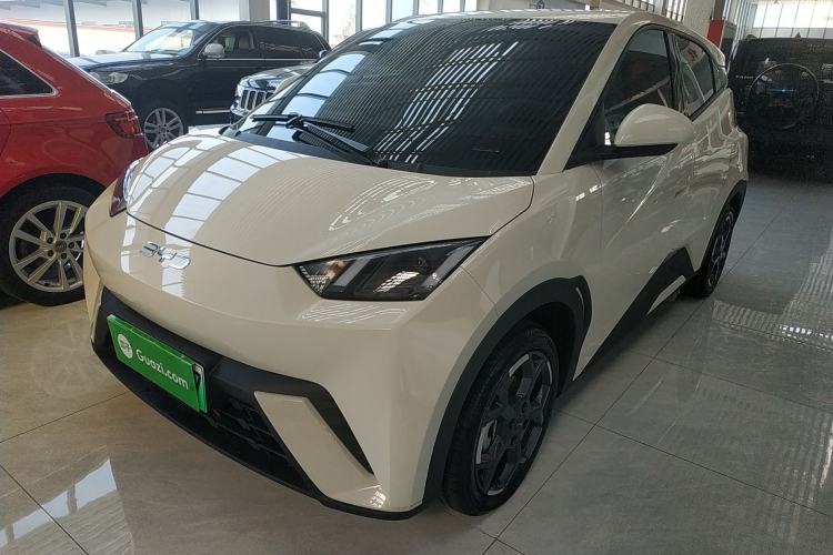 Used BYD Seagull 2025 305 km Free Version