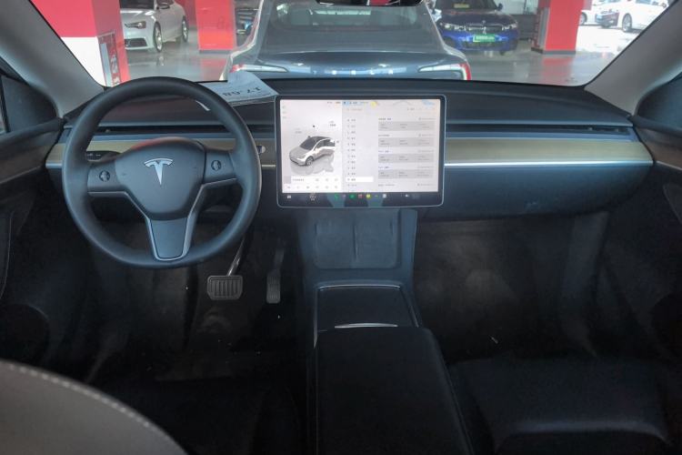 Used Tesla Model Y 2022 Long-Range All-Wheel-Drive Version

