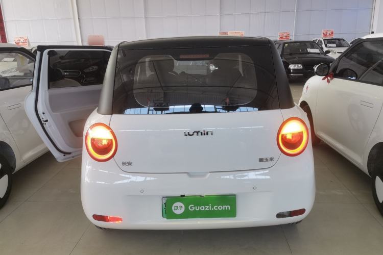 Used  Lumin 2023 205km Xiangqin Version
