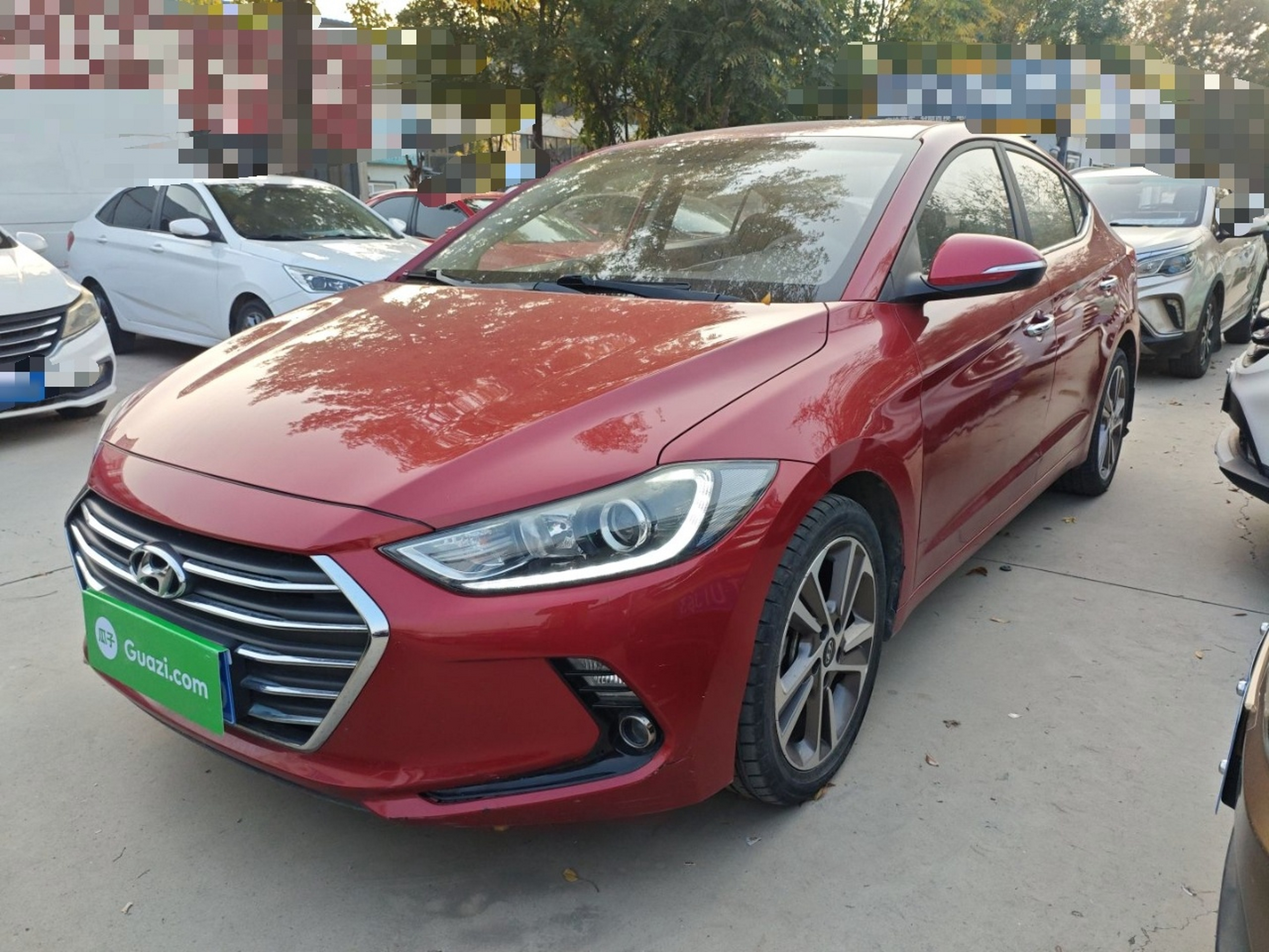 تحت مقدمة السيارة