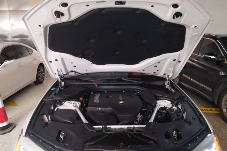 Used BMW 5 Series 2019 Facelifted 530Li Leading Edition M Sport Package
