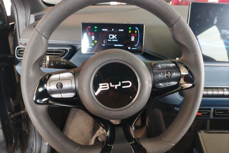 Used BYD Seagull 2024 Honor Edition 305km Freedom Version
