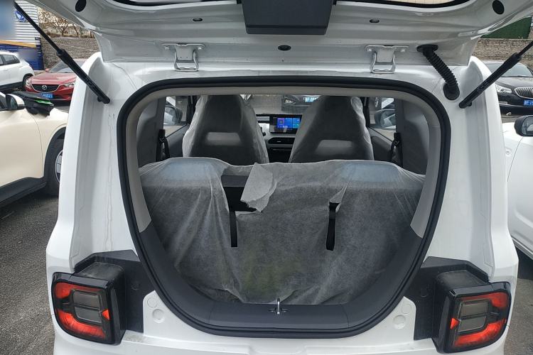 Used  Panda 2024 Panda Mini 200km Endurance Bear
