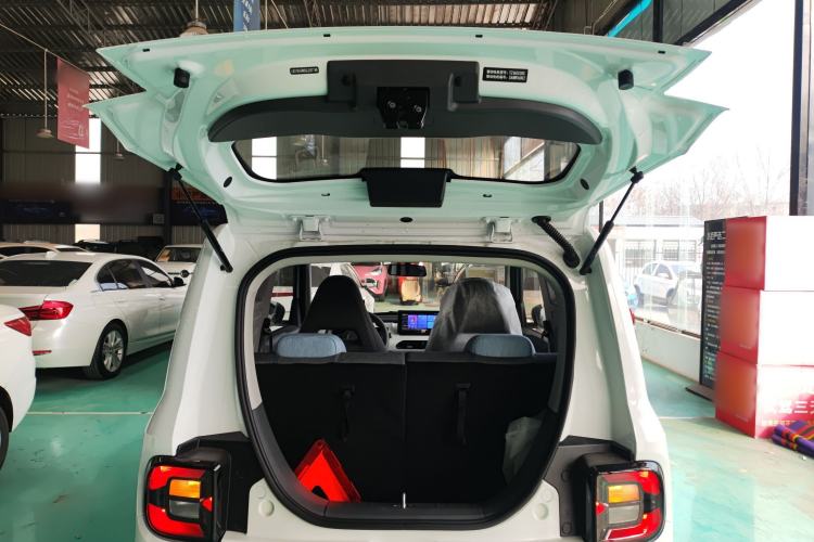 Used  Panda 2024 Panda Mini 200km Endurance Bear