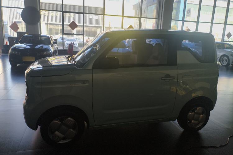 Used  Panda 2023 Panda Mini 200km Endurance Bear