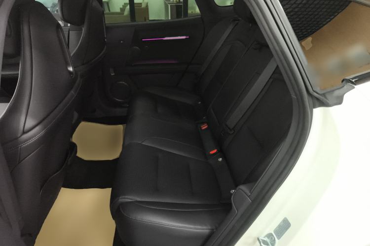 Used  06 2025 Ultra Pure Electric Edition
