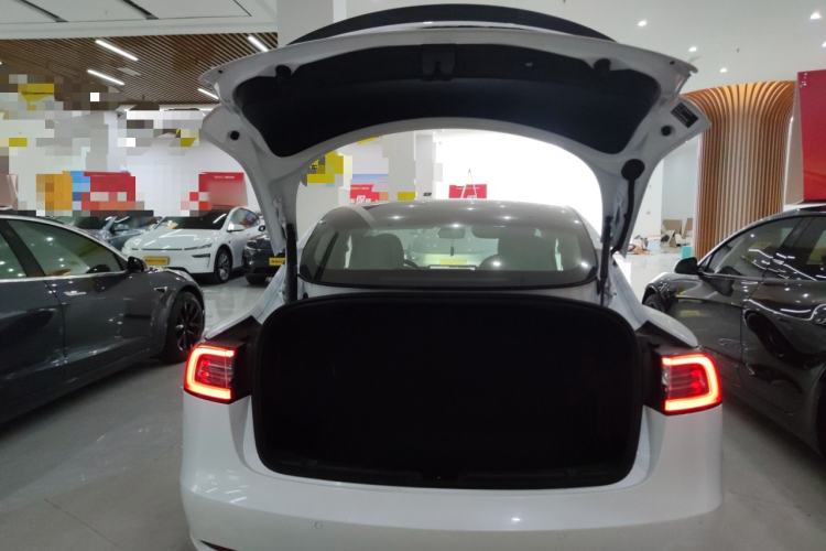 Used Tesla Model 3 2021 Performance High-Performance All-Wheel-Drive Version
