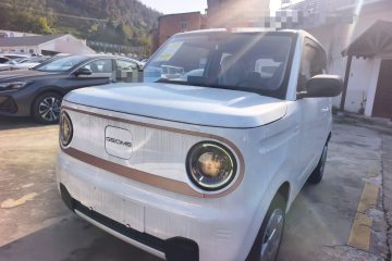 Used Geely Galaxy Panda 2024 Panda Mini 200km Endurance Bear