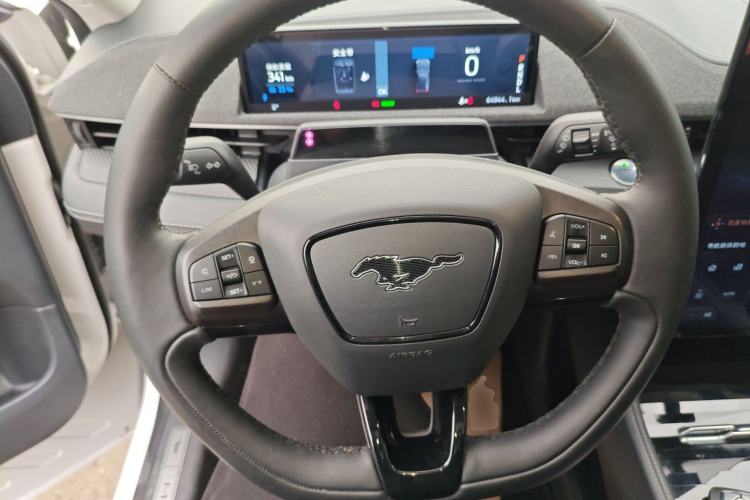 Used Ford Mustang Mach-E 2021 AION Y Plus Rear-Drive Luxury Edition (Long Range)
