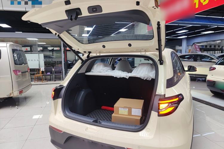 Used  Geome 2025 310km Dream Edition
