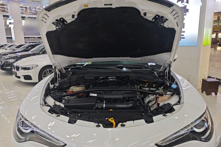 Used Alfa Romeo Stelvio 2017 2.0T 200HP Elite Edition
