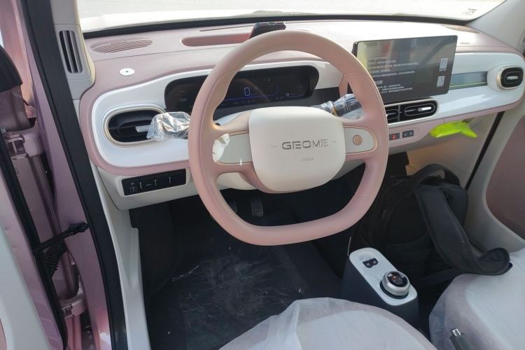 Used  Panda 2025 210 km – Yuanqi Bear
