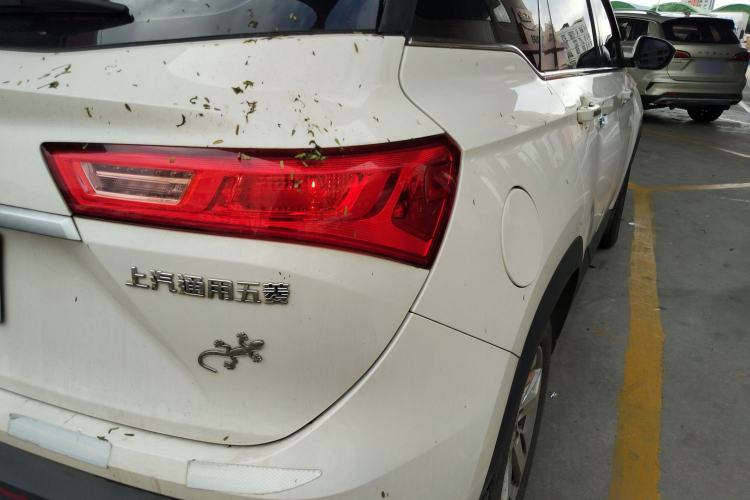 Used Baojun 530 2019 1.5T CVT Luxury Model 7 Seats China V Emission Standard