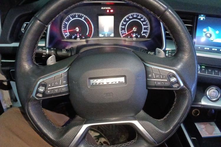 Used Haval H6 2017 Red Label 2.0T Automatic Two-Wheel Drive ZhiShang Model