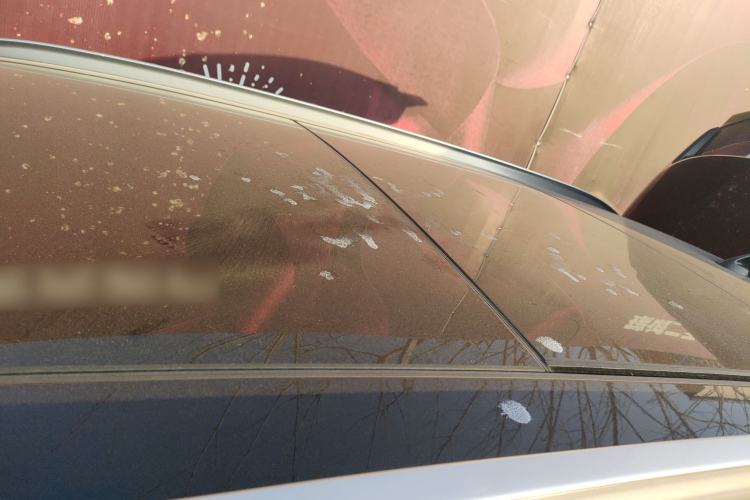 Used BMW X1 2020 sDrive25Li Leading Model